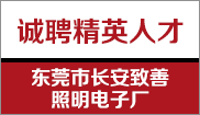 东莞市长安致善照明电子厂